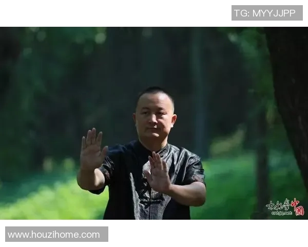 探索陈冲太极拳的深厚内涵与独特技艺之美 探索陈冲太极拳的深厚内涵与独特技艺之美